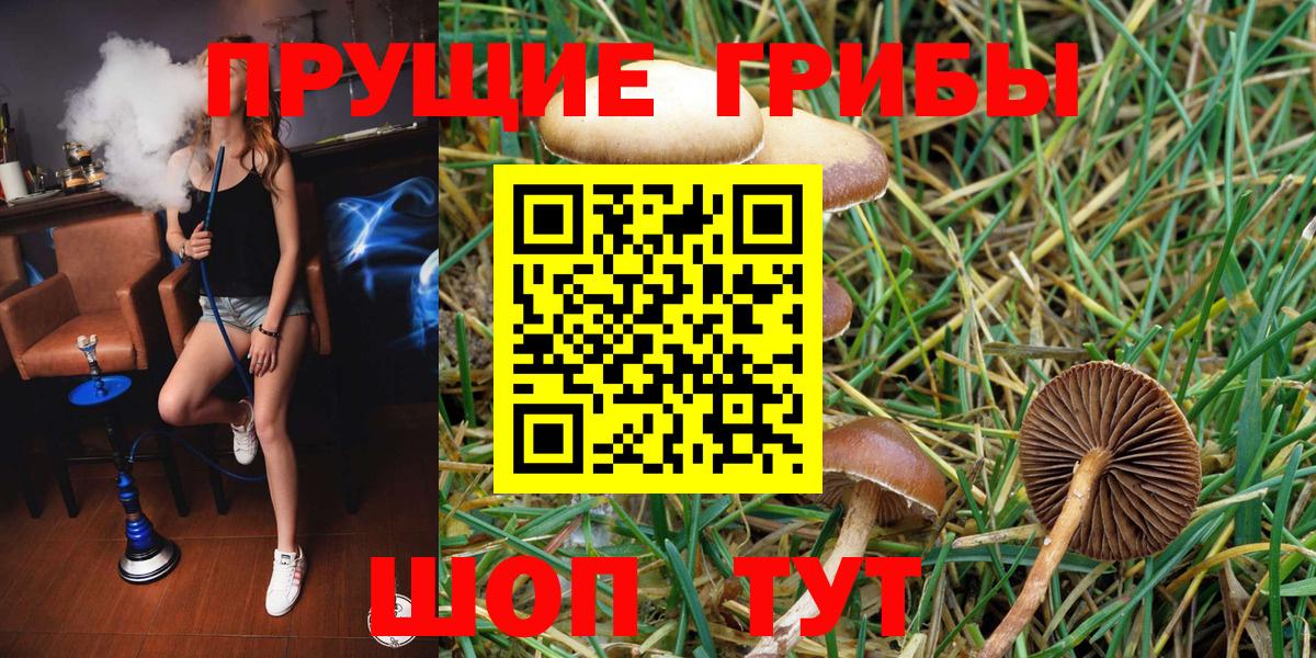 Ярцево  Галлюциногенные грибы Psilocybine cubensis  Псилоцибиновые грибы мицелий  Вход с VPN 